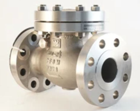 Swing Check Valve